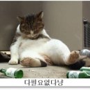 친구당구장 이미지