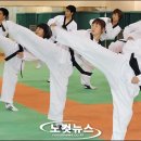 국가대표영어태권도 이미지