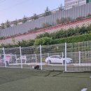 자랑하개 이미지