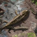 바다랑육지랑 이미지