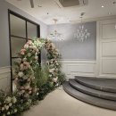 비엔티 카카오 검색결과