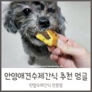 멍글(mongle) 이미지