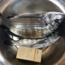 신항민박 이미지