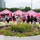 장미축제 이미지