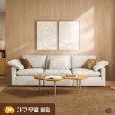 소파를찾는사람들 | 까사미아 소파 추천 4인용 패브릭 거실 인테리어 찾는 집 캄포 구스30 슬림 후기