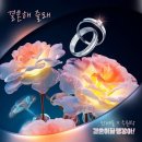 줄래 이미지