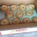 하북한사랑의원 이미지