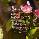 감성 손글씨 캘리그라피 이미지