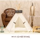 춘자상회 - 제주시 중앙로 27-41 | 춘자상회