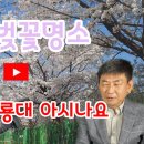 [벚꽃 명소] 숨겨진 벚꽃명소 "계룡시 계룡대를 아시나요" 이미지