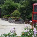 추억의 다락방 민박 이미지