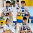 늘찬태권도장 이미지