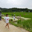 홍동