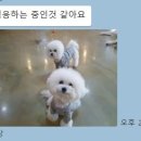 포포앤미루 강동점 이미지