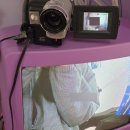 인생은 어디로 흘러가는가(ft.노모어피자, 웅포차, 이불빨래와 선풍기청소, 비스트로사랑방, 대승곱창)