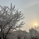 수완호수공원 이미지