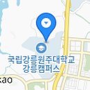 강릉원주대학교박물관 이미지