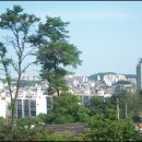 우면산6-6 이미지