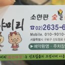 도야미리 이미지