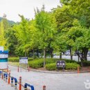 충남종합 관광안내소 이미지