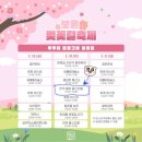 보은댄스 이미지