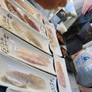 강릉영주횟집 이미지