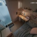 스테이파르크