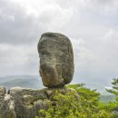 사람사랑산 이미지