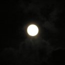 아름다운 그님 이미지