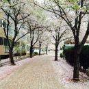 (주)투위 이미지