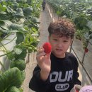 베스트태권도 이미지