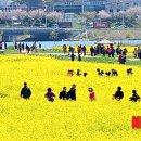 낙동강관리본부 대저생태공원 3 이미지