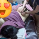 아떼스타 이미지