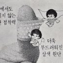 대일광고 이미지