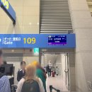 스쿠트항공 대만 타이베이 탑승후기 (온라인체크인, 수하물, 연착, 기내식 등)