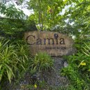 밤야식당 미아점 | 푸꾸옥 중부 숙소 카미아 리조트 추천 룸컨디션 수영장 후기