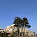 대명냉동 | 강원도 고성 델피노 스위트 east동 설악마운틴뷰 취사 후기