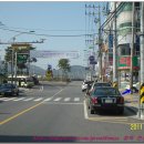 법수약국 Daum카페