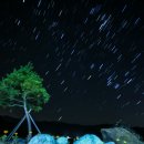 예천늘봄 이미지