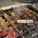 경기도 성남 모란 양꼬치 맛집 | 복래양꼬치 내돈내산 솔직후기 🍢