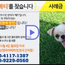 [베티]엘리베이터 LCD광고판 영상 송출 관련-최종본입니다. 이미지