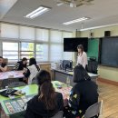 시흥초등학교 학부모 타로심리 교육 (보조강사) 이미지