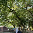 용전숲 공중화장실 이미지