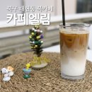 엘림(Elim) 이미지