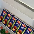 스테이 밭 이미지