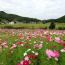 코스모스모텔 이미지