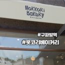 홋코리 이미지