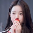 해피썬 이미지