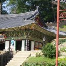 대자연횟집 이미지