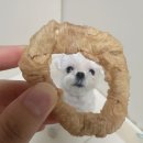 강아지수제간식추천 | 강아지 저지방 간식인데 기호성까지 좋았던 [먹멍먹멍 꼬꼬링] 후기